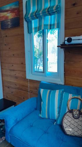 Governor's Harbour House | Sugar Cakes Tiny House