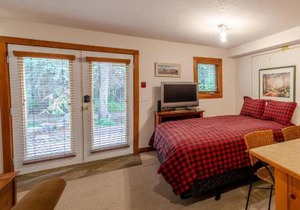 Studio Apartment in Sun Peaks