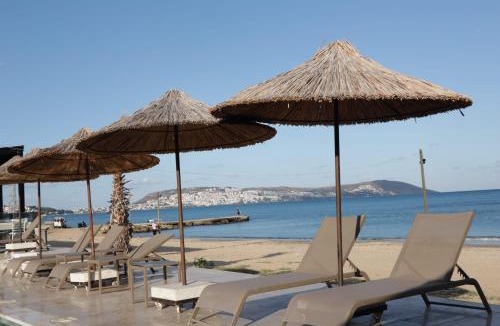 Sinop Hotel | Palm Garden
