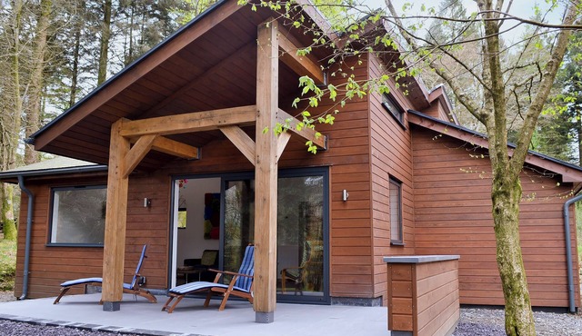 1 bedroom accommodation in Beddgelert in Beddgelert