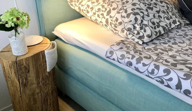 A lovingly furnished, cozy one-room apartment (available only in July) in Odernheim am Glan