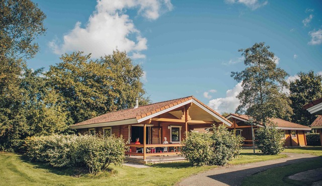 Atmospheric 6-person chalet in Scandinavian style on a green park in the Vechtdal. Affordable enjoyment of nature and tranquillity. in Gramsbergen