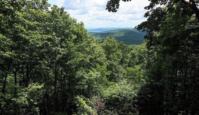 Awesome Views HOT TUB Outdoor Shower Fast Wifi in Murphy