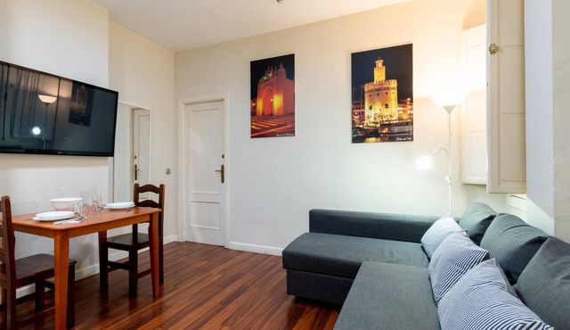 Beautiful 1-bedroom apartment inside a typical Andalusian patio in Sevilla