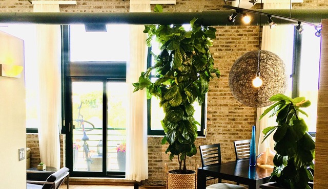 Beautiful & Chic Loft on the River! Excellent location & has everything you need in Chicago
