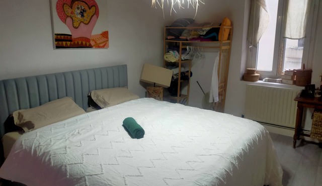 Bed and breakfast, 2 steps from Perrache train station! (From 1 to 5 people) in Lyon