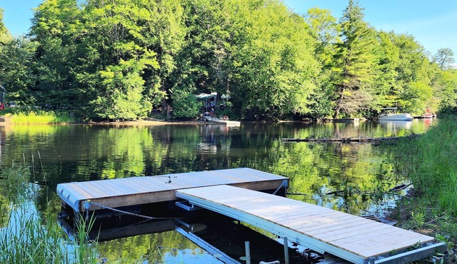 Bluejays - Waterfront cottage on Muskoka River in Bracebridge