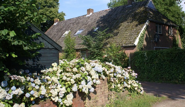 British/Dutch Owned Former Farmhouse (1836) near Picturesque National Parks in Diever