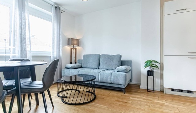 Chic & Contemporary 1BR+1LR Apt. in Central Vienna in Vienna