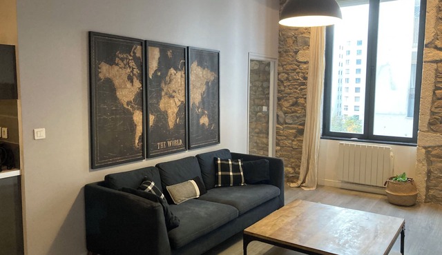 Confluence renovated 2-room apartment in Lyon