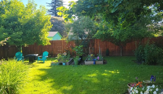 Cool basement apartment with WiFi in vibrant Portland, Oregon. in Portland