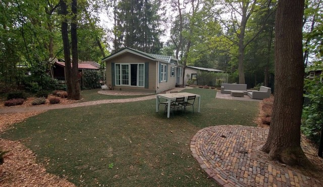 Forest chalet Huize Vriendschap in Hattemerbroek
