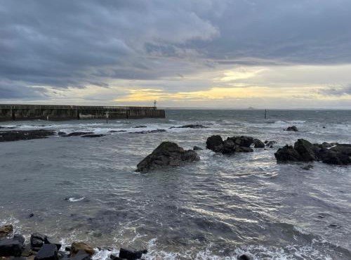 Forth, Pittenweem in Pittenweem