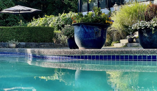Games Studio Suite + shared Pool & Hot Tub in Surrey