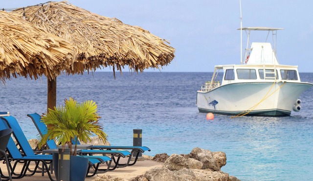Get Ready for Adventure! 3 Relaxing Units! Near lasa Fransisco Chiku Goeloe! in Kralendijk