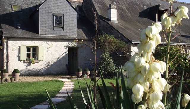 Gîte le JoliCcoin to visit the castle of Azay le rideau and its surrondings in Cheillé