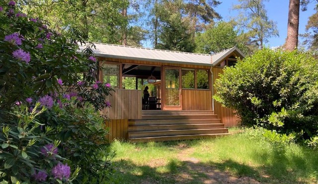 Houten bosvilla met sauna en 2 slaapkamers in Doorn