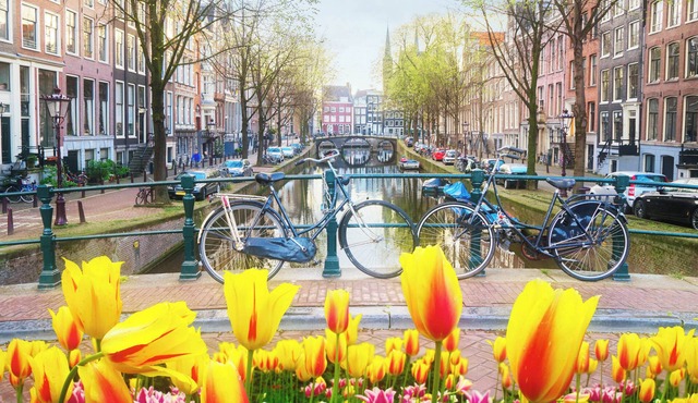 In the tree lined streets of Amsterdam-A stones throw from Vondelpark in Amsterdam