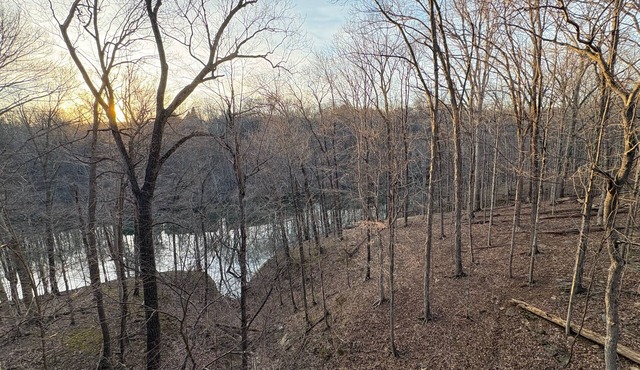 Lake Monroe treehouse - Bloomington in Bloomington