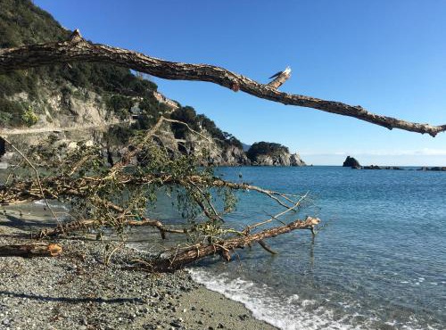 LE CINQUE VELE * Cinque Terre in Monterosso al Mare