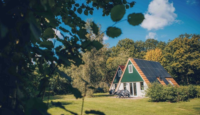 Modern family home for 10 people with 5 bedrooms, 2 bathrooms (one with sunshower), and a spacious garden on the edge of the forest at Holiday Park 't Hooge Holt. in Gramsbergen