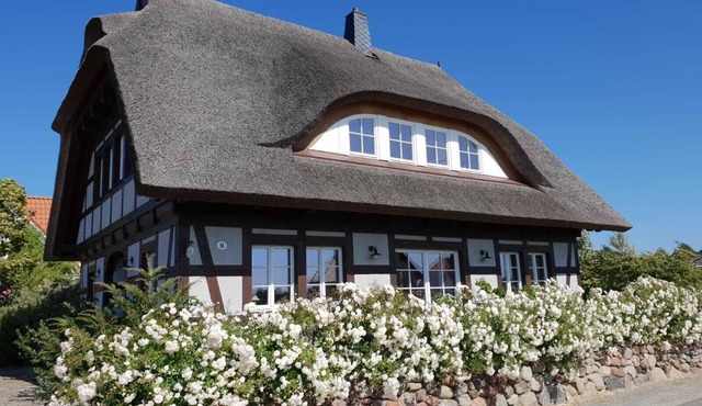 Rügen-Cottage up to 8 persons, sauna, fireplace,beach chair,barbecue,garden,parking lot in Dranske OT Lancken