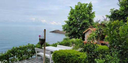 Trabzon Villa in Akcaabat