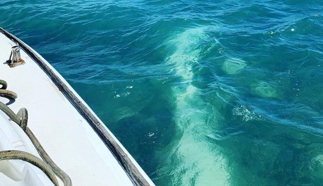 Unique stay aboard 40ft Sailing Yacht in Key West