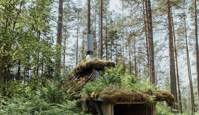 Vildmarksbyn - unique accommodation in the Småland forest in Kyllås