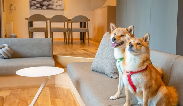 VILLA 105 Pets allowed/Aso-gun Kumamoto in Aso-gun