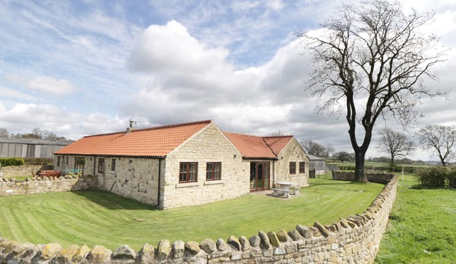 WELLBERRY, family friendly, with open fire in Staindrop in Darlington