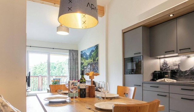 Wellness apartment with a SW-balcony in Haus im Ennstal