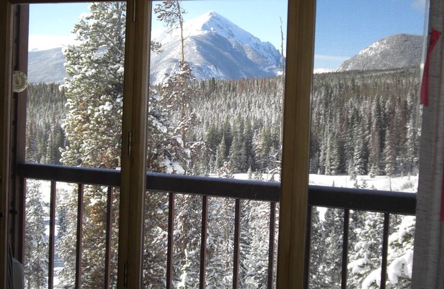 Silverthorne 
