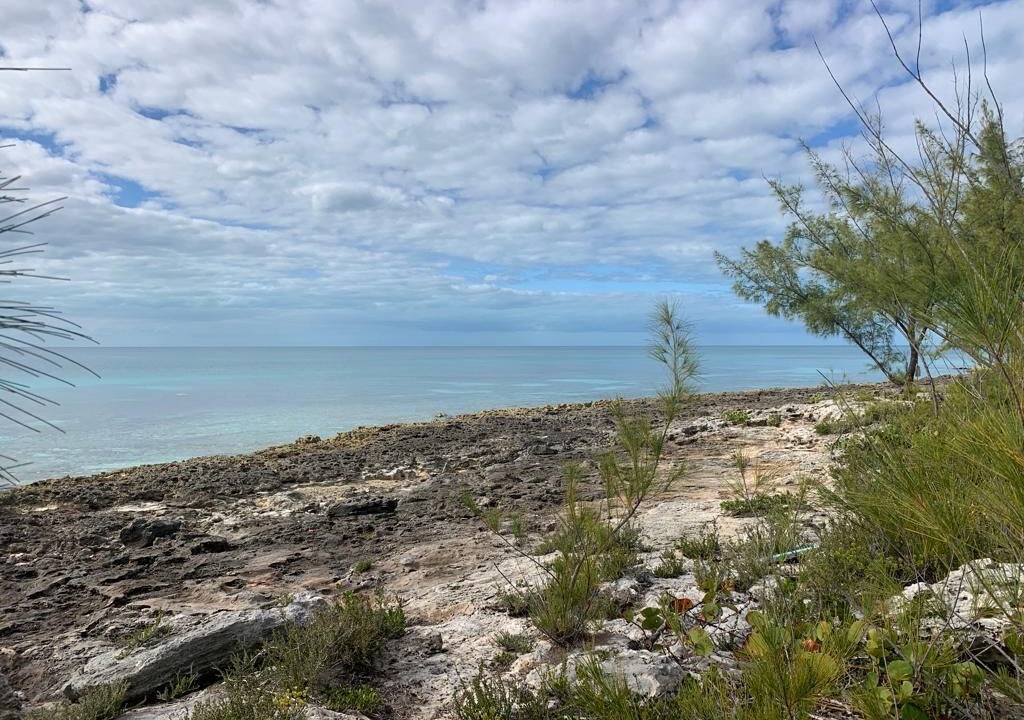 Photo of Others in Rainbow Bay