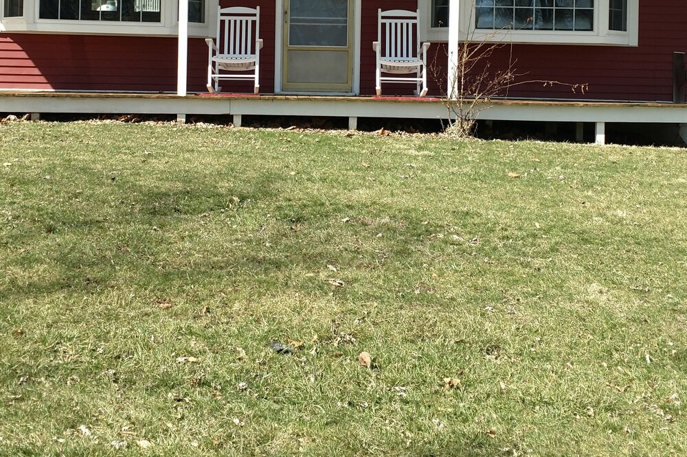 Photo of Outdoor in Ipava