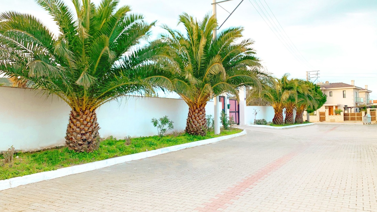 Photo of Outdoor in Alacati