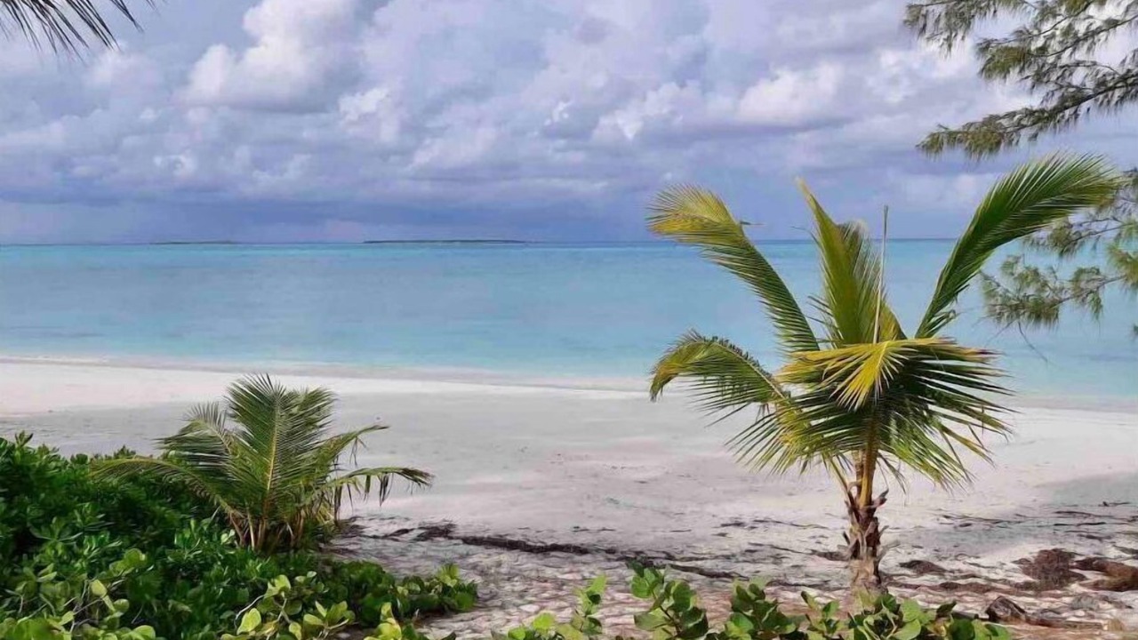 Photo of Outdoor in Jimmy Hill