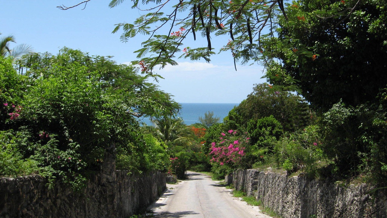 Photo of Others in Rainbow Bay