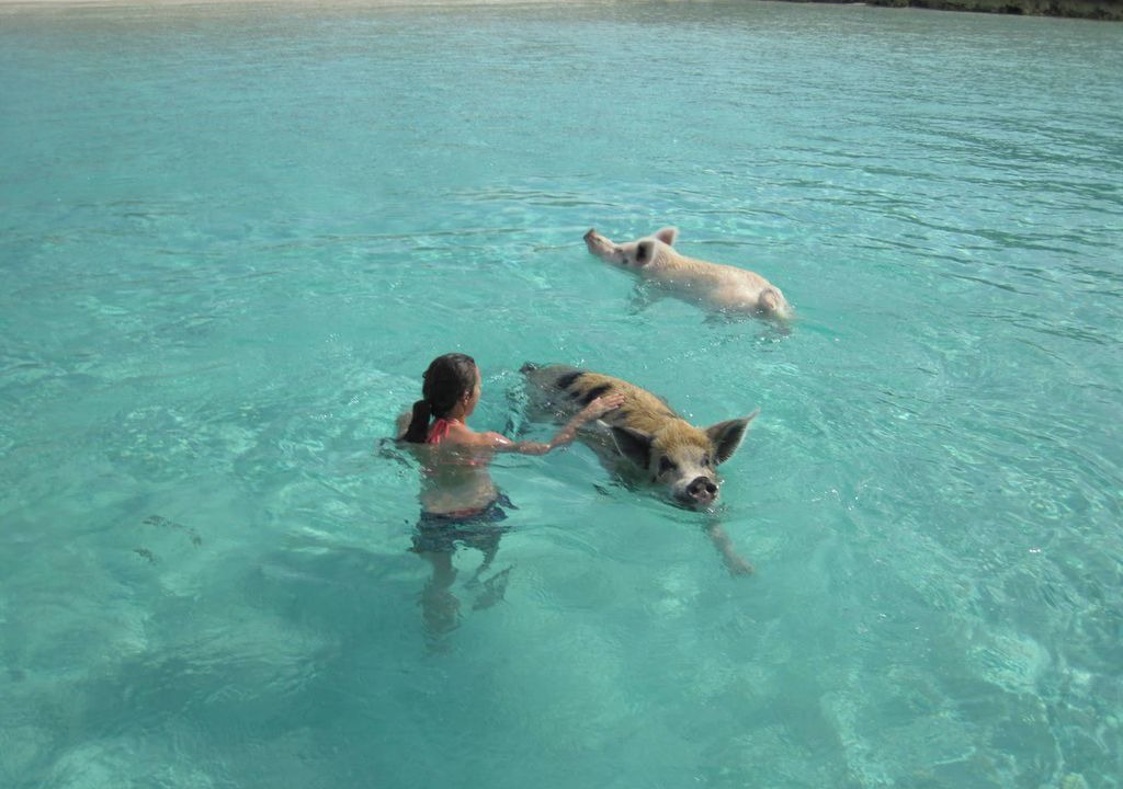 Photo of Others in Rainbow Bay