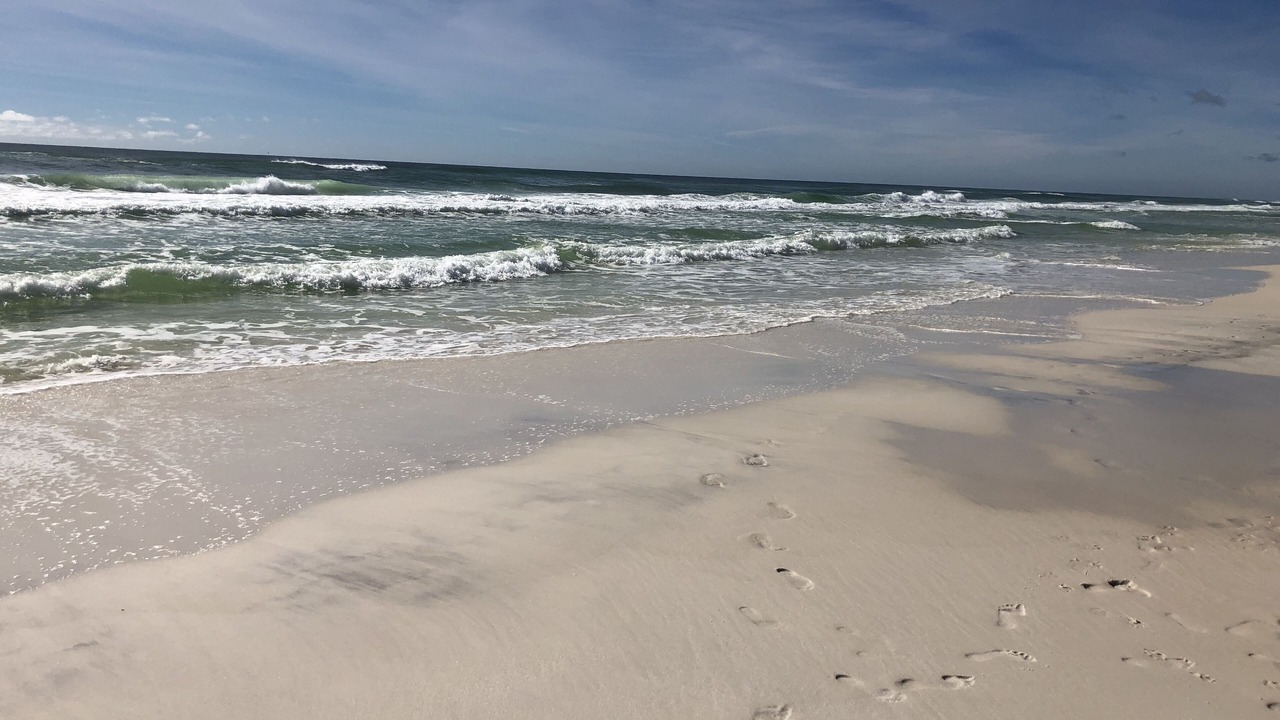 Photo of Others in Seagrove Beach