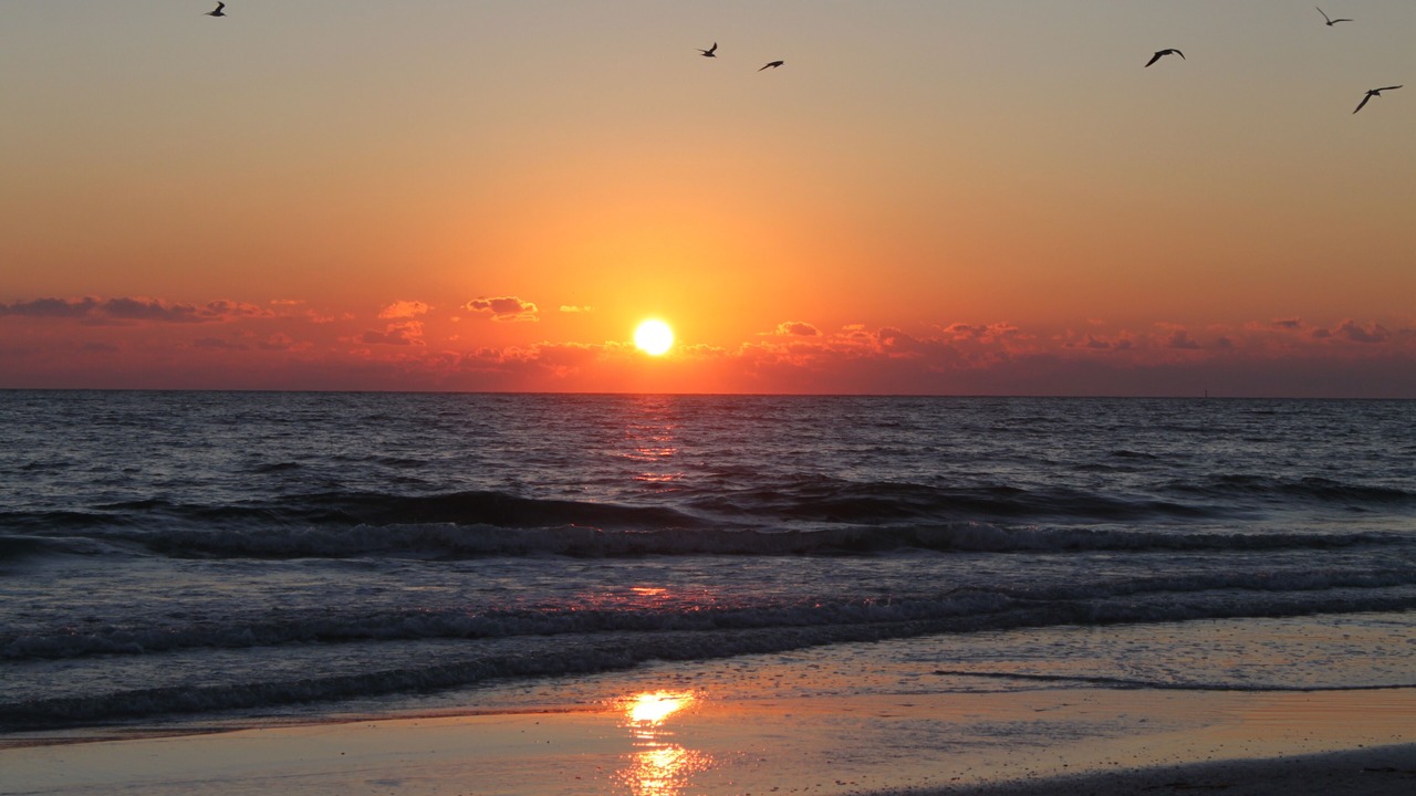 Photo of Others in Sarasota Springs