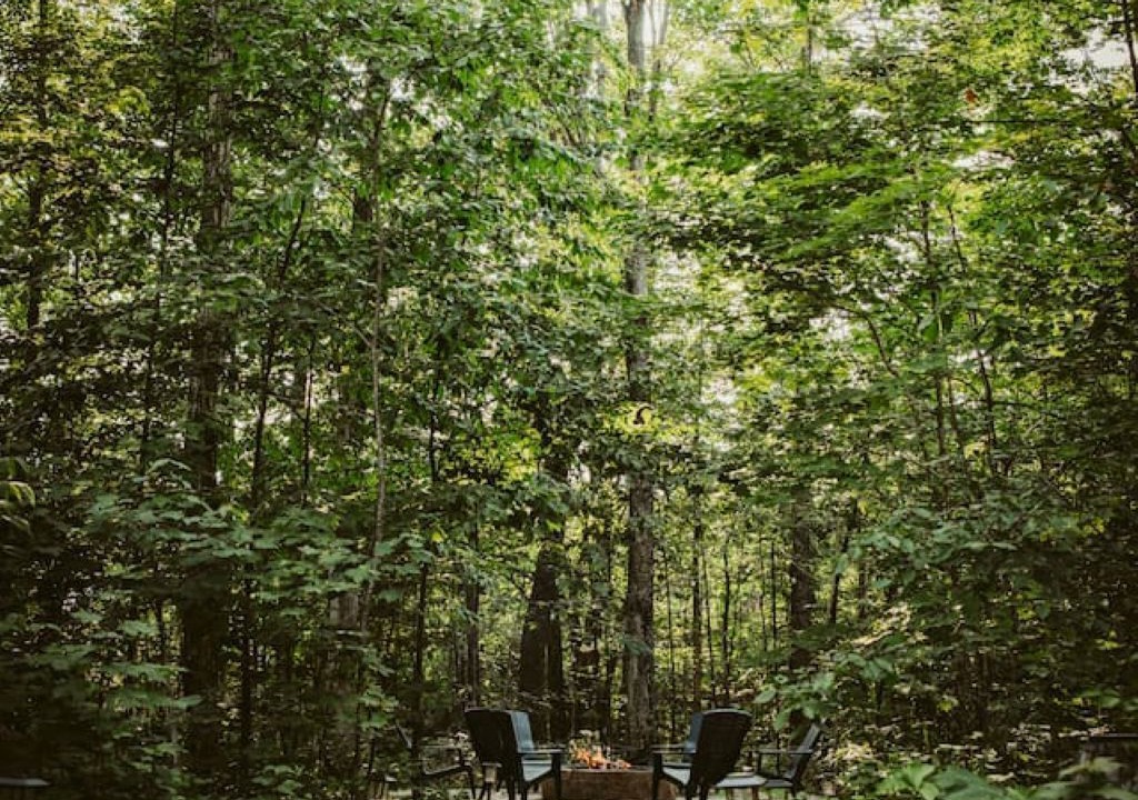 Photo of Outdoor in Elmira