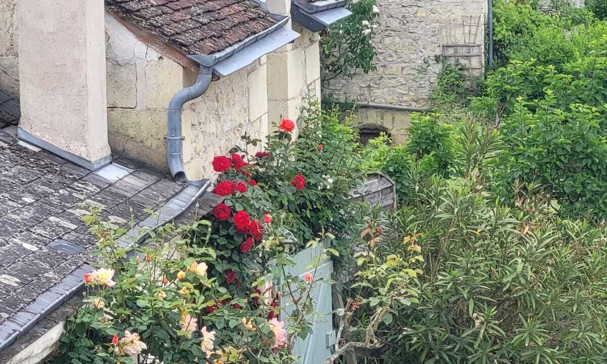 Photo of Outdoor in La Chapelle-aux-Naux