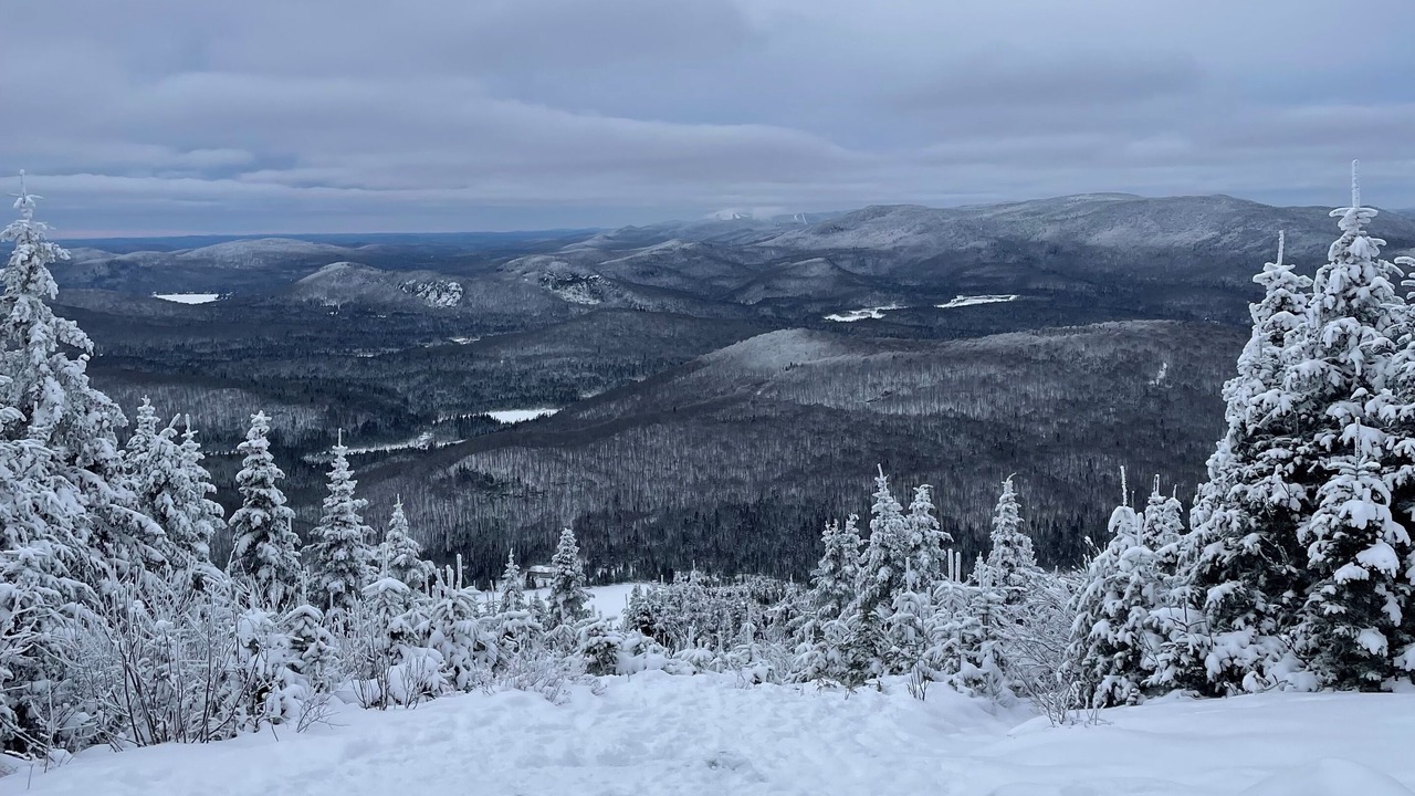 Photo of Others in Saint Donat
