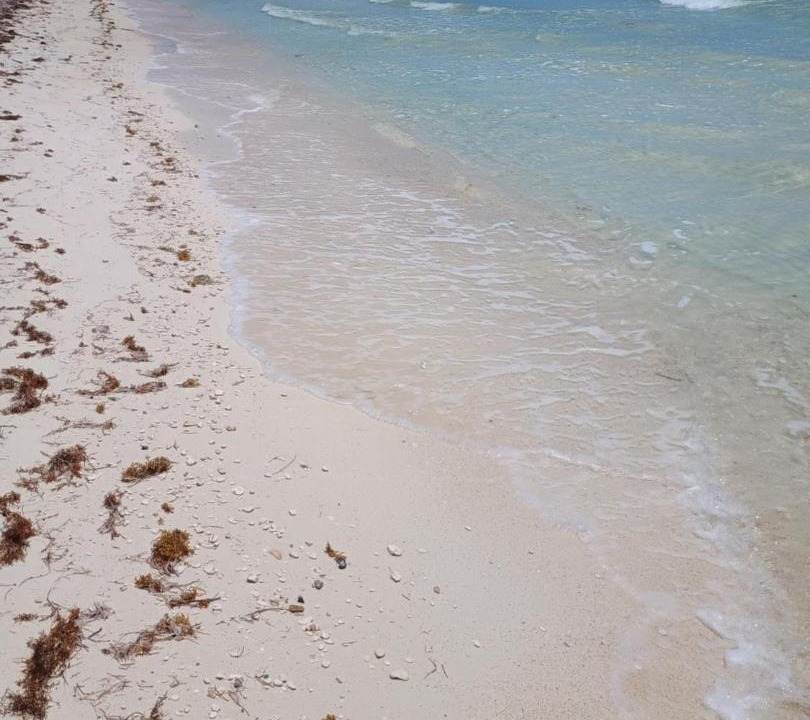 Photo of Others in Bahamia West
