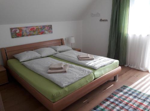 Apartment Sandra in Obertraun
